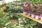 Nintingboolplant-nursery-7.jpg; ?>